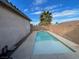 Backyard pool surrounded by concrete and brick fencing, featuring a palm tree and blue skies at 1018 Snow Bunting Ct, Henderson, NV 89002