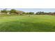 Expansive green lawn area with mature trees and community amenities, perfect for outdoor activities at 10540 Beachwalk Pl, Las Vegas, NV 89144