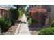 Landscaped sidewalk lined with well-manicured bushes and trees at 1236 Dusty Creek St, Las Vegas, NV 89128