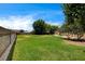Large grassy backyard with a block wall and mature trees providing shade at 12780 Davis Wright Ct, Henderson, NV 89044