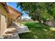 A covered patio overlooks a big backyard with a mature tree and a block wall at 12780 Davis Wright Ct, Henderson, NV 89044