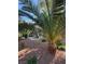 View of building with landscaped front yard and palm trees at 520 Elm Dr # 202, Las Vegas, NV 89169