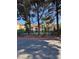 A fenced pool area surrounded by lush landscaping offers a private escape at 520 Elm Dr # 202, Las Vegas, NV 89169