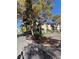 Street view of multi-Gathering homes with mature landscaping, sidewalks, and wrought-iron fencing at 520 Elm Dr # 202, Las Vegas, NV 89169