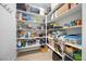 Walk-in pantry offers ample storage with floor-to-ceiling shelving at 10470 Dove Meadow Way, Las Vegas, NV 89135