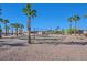 Community playground with swings and play areas beneath tall palm trees at 1152 Paradise Desert Ave, Henderson, NV 89002