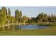 Scenic pond view with lush greenery and mature trees in a tranquil community setting at 4410 E Brusca Way, Pahrump, NV 89061