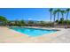 The community pool is sparkling blue with lounge chairs, palm trees, and mountain views at 4410 E Brusca Way, Pahrump, NV 89061