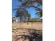 Large backyard featuring a chain-link fence and mature trees at 626 Kimberly Ave, Pahrump, NV 89060