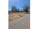 Backyard area featuring sparse vegetation and a chain-link fence at 626 Kimberly Ave, Pahrump, NV 89060