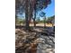 Side view of the backyard with trees, ladder, and outbuilding at 626 Kimberly Ave, Pahrump, NV 89060