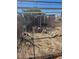 Fenced dog run provides a secure outdoor space for pets to play safely at 626 Kimberly Ave, Pahrump, NV 89060