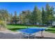 Backyard with a ping pong table and volleyball net on a grassy lawn, surrounded by mature trees and landscaping at 6965 Tara Ave, Las Vegas, NV 89117