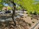 Neighborhood street view with sidewalk and desert landscaping in front of homes at 7461 Enviable Ct, Las Vegas, NV 89149