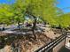 Balcony view of the landscaped yard with mature trees and inviting community street at 7461 Enviable Ct, Las Vegas, NV 89149