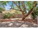 Backyard featuring a brick patio, mature landscaping, and shaded areas at 7909 Citrus Meadow Ct, Las Vegas, NV 89131