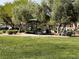 A community park with green grass, shady trees, benches, and playground equipment at 8688 Tomnitz Ave # 101, Las Vegas, NV 89178