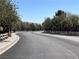 Residential street lined with lush, mature trees and white fencing, creating a welcoming atmosphere at 8688 Tomnitz Ave # 101, Las Vegas, NV 89178