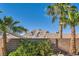 Mountain View behind a lush backyard with mature landscaping at 10212 Donald Weese Ct, Las Vegas, NV 89129