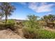 Scenic backyard view from the patio, showcasing the natural beauty of the landscape at 30 Via Vasari # 102, Henderson, NV 89011