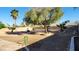 Expansive backyard featuring desert landscaping with palm trees and block wall at 4285 El Como Way, Las Vegas, NV 89121