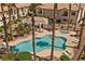 Inviting community pool and spa surrounded by palm trees and lounge chairs at 4821 Black Bear Rd # 101, Las Vegas, NV 89149
