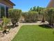 A beautifully landscaped backyard with lush shrubbery and artificial turf at 7957 Fantail Dr, North Las Vegas, NV 89084