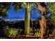 Charming backyard with a unique cactus swing, mature trees, and sparkling Las Vegas skyline in the background at 853 Morning Sun Ct, Las Vegas, NV 89110