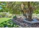 The spacious backyard features mature shade trees and a seating area around the trunk at 853 Morning Sun Ct, Las Vegas, NV 89110