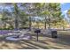Picturesque picnic area with mature trees, picnic tables, and a grill, ideal for outdoor dining and recreation at 9921 Woodhouse Dr, Las Vegas, NV 89134