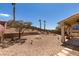 Landscaped backyard with rock waterfall, palm trees, patio, and desert landscaping at 2587 Grizzly Park Ct, Henderson, NV 89052
