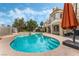 Sparkling pool and spa with a covered patio and lounge seating in the backyard at 56 Grossinger Ct, Henderson, NV 89074