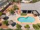 Aerial view of the pool, tiki bar, palm trees and desert landscaping of the backyard at 8125 Soledad Canyon St, Las Vegas, NV 89131