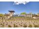 Welcoming Del Webb Lake Las Vegas community entrance with manicured landscaping and clear signage at 25 Red Creek Bluff St, Henderson, NV 89011