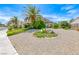 Low maintenance desert front yard with lush landscaping and large palm tree at 364 Clark Dr, Henderson, NV 89074