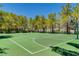 Spacious outdoor basketball court surrounded by mature trees and foliage, with clear markings and well-maintained surface at 729 Sir James Bridge Way, Las Vegas, NV 89145