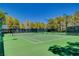 Well-maintained tennis court with green surface, surrounded by trees and equipped with lighting for evening play at 729 Sir James Bridge Way, Las Vegas, NV 89145