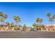 The Parsania community entrance featuring mature palm trees and manicured landscaping at 7410 Bridlehorne Ave, Las Vegas, NV 89131