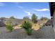 The low maintenance backyard features gravel, plants, flowering shrubs, and a modern block wall at 9903 Spinel Pl, Las Vegas, NV 89143