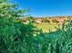 View of community landscape from the backyard at 1915 Hazeltine Ct, Henderson, NV 89074