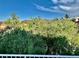 Community view with green landscape at 1915 Hazeltine Ct, Henderson, NV 89074