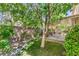 Backyard with lush green grass, mature tree, and covered patio at 8247 Oasis Bloom St, North Las Vegas, NV 89085