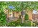Backyard with lush green grass, mature tree, and covered patio at 8247 Oasis Bloom St, North Las Vegas, NV 89085