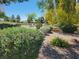 Beautiful park with mature trees, manicured bushes, and a covered picnic area, ideal for Gathering gatherings and outdoor activities at 8247 Oasis Bloom St, North Las Vegas, NV 89085