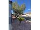 A rock garden with lush green trees and greenery, providing a tranquil outdoor space at 8325 Aspen Village St, Las Vegas, NV 89113
