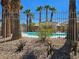 Community pool surrounded by palm trees and wrought iron fence at 8345 Mozley Park St, Las Vegas, NV 89113