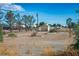 Expansive lot featuring a storage shed with wire fence, mature trees, and native desert foliage at 1351 Fawn St, Pahrump, NV 89048