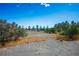Vast property showcasing mature trees and native vegetation, providing privacy at 1351 Fawn St, Pahrump, NV 89048