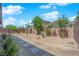 Landscaped backyard with desert plants, gravel cover, and block wall at 40 Vicolo Della Luna, Henderson, NV 89011