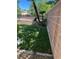 A neatly kept backyard with vibrant green grass, palm trees and block wall at 9360 Canalino Dr, Las Vegas, NV 89134